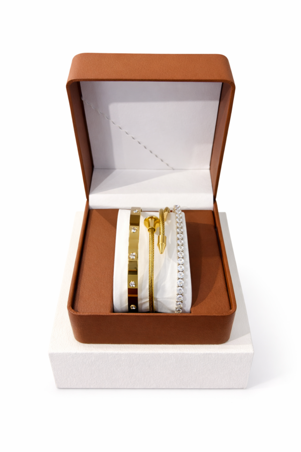 PETALMY TITANIUM LUXE BRACELET SET – EXCLUSIVE BOX EDITION